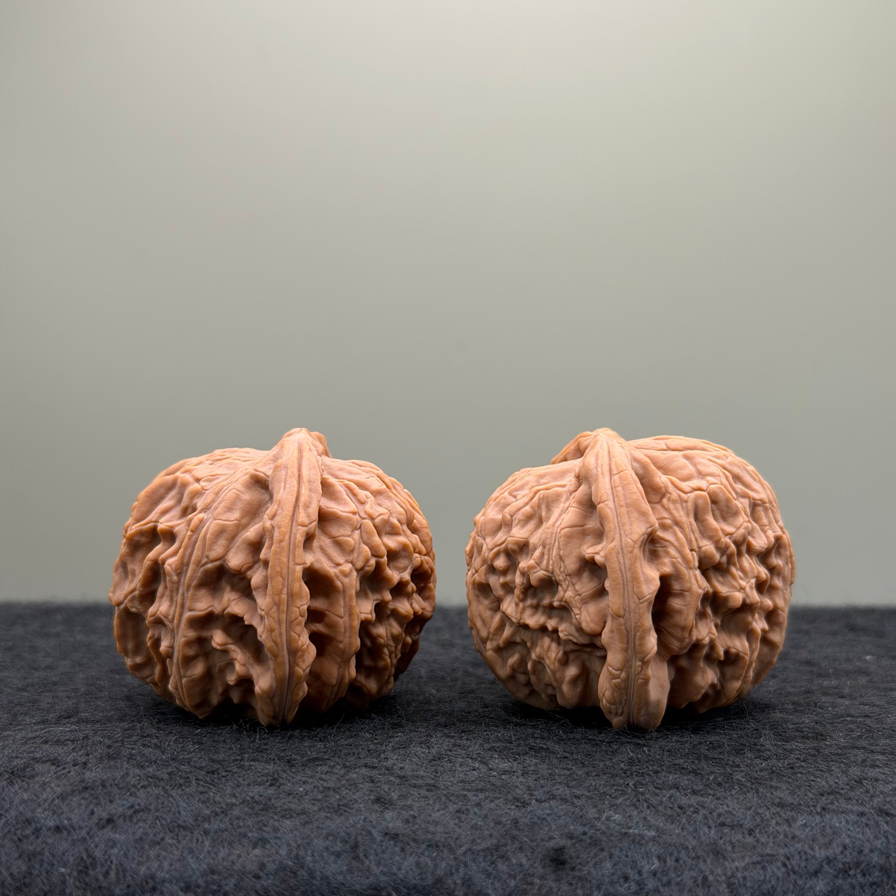 White Lion Wenwan Walnut · 38mm · Natural · Entry Ritual