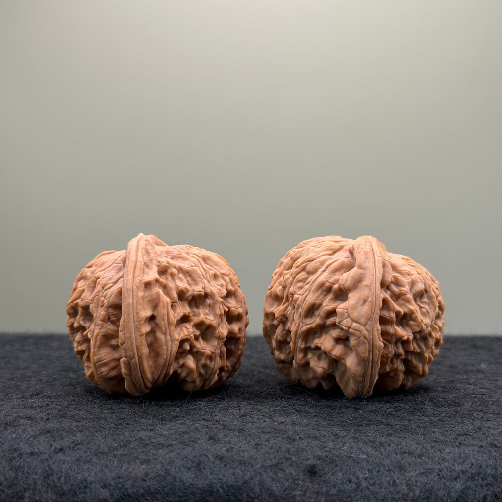 White Lion Wenwan Walnut · 38mm · Natural · Entry Ritual