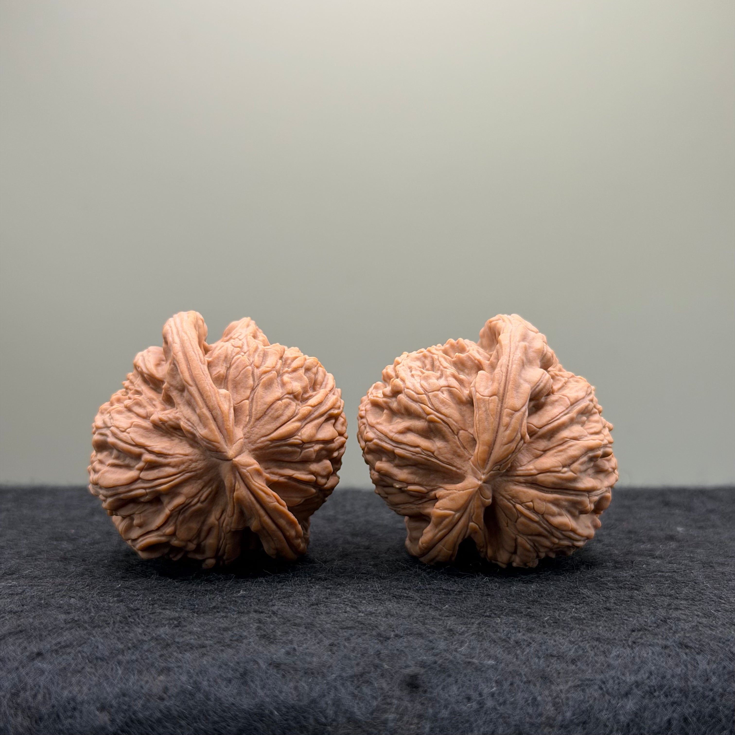 White Lion Wenwan Walnut · 38mm · Natural · Entry Ritual