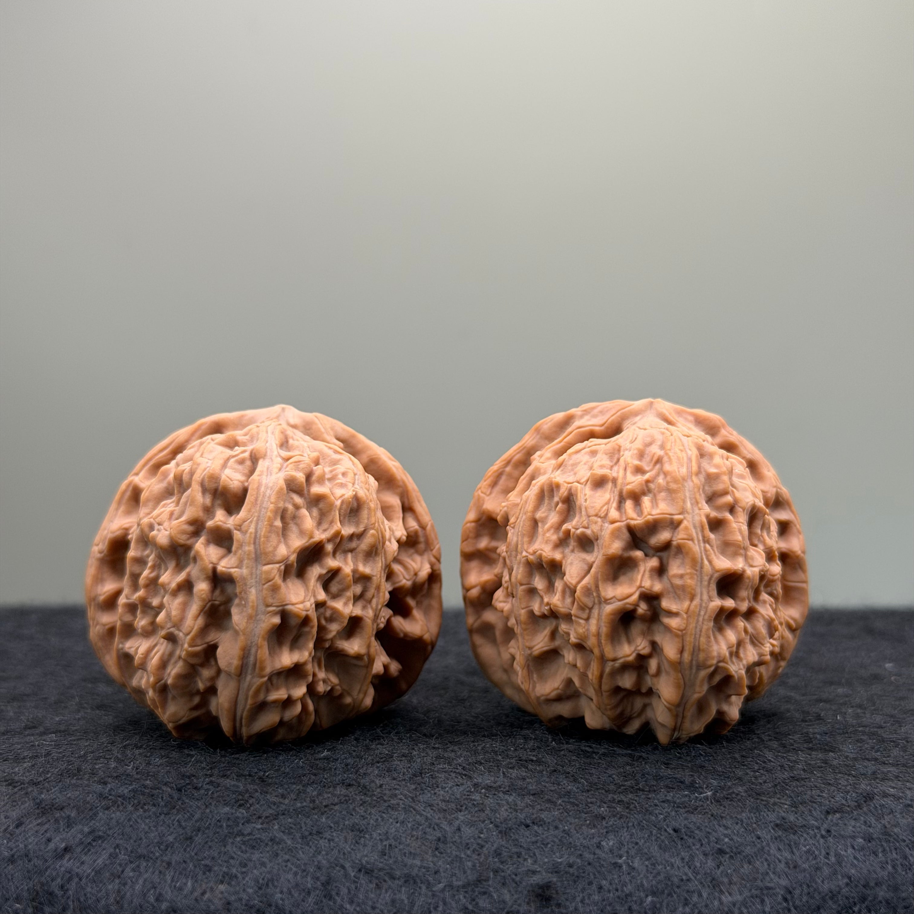 White Lion Wenwan Walnut · 38mm · Natural · Entry Ritual