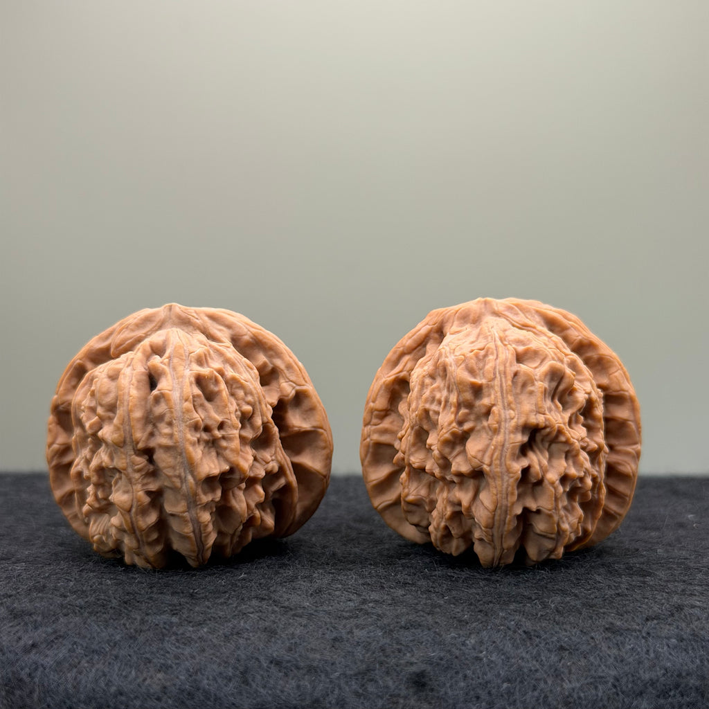 White Lion Wenwan Walnut · 38mm · Natural · Entry Ritual