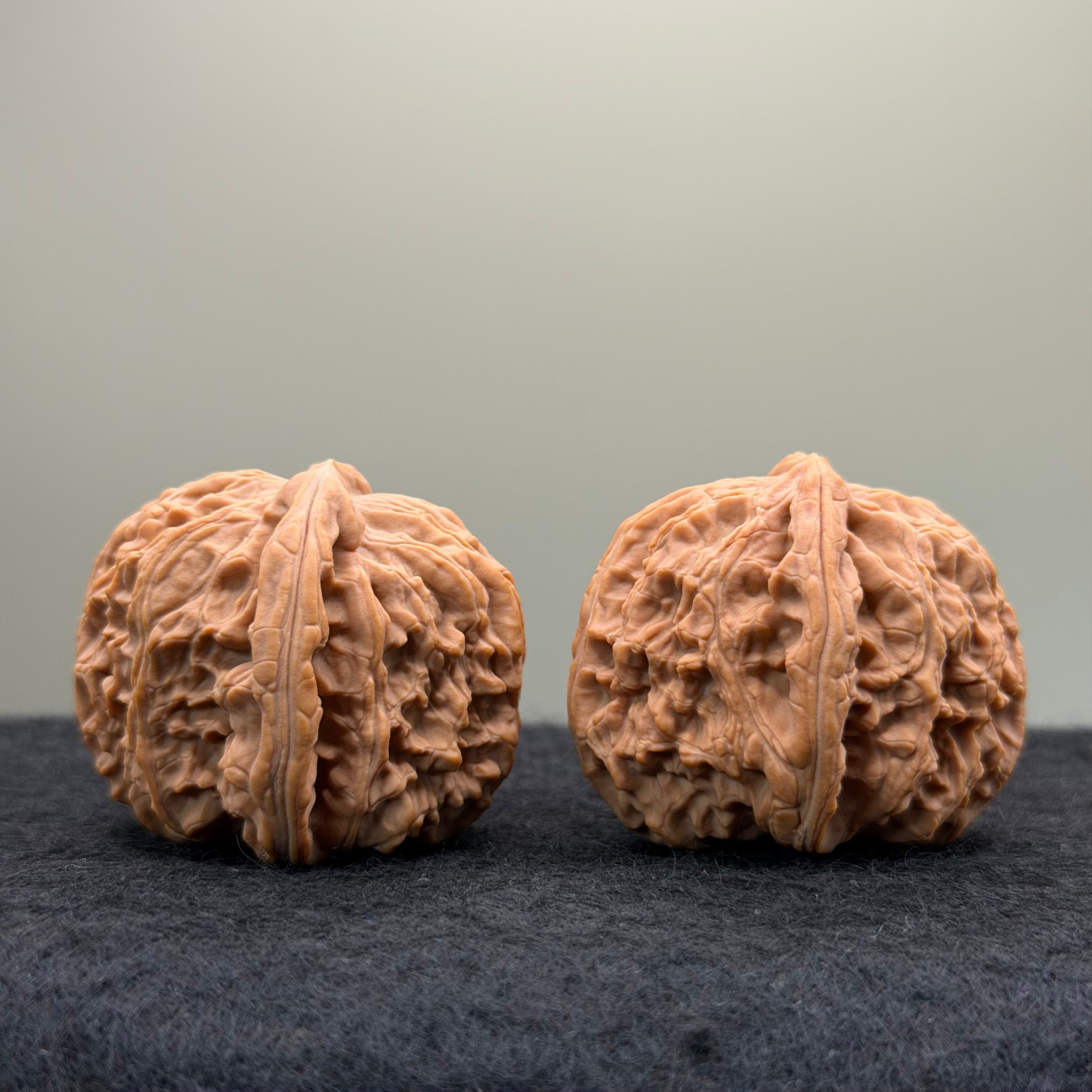 White Lion Wenwan Walnut · 38mm · Natural · Entry Ritual