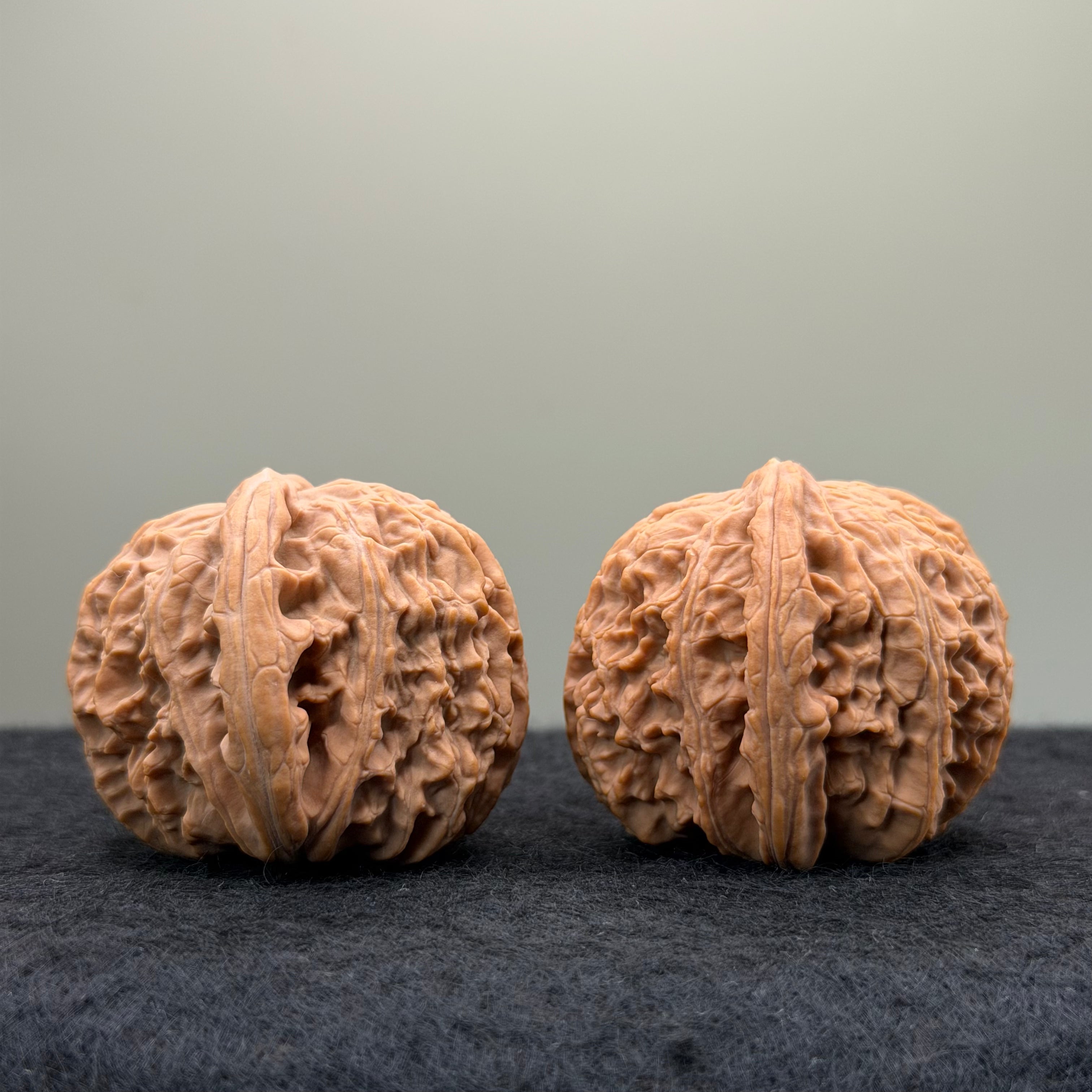 White Lion Wenwan Walnut · 38mm · Natural · Entry Ritual