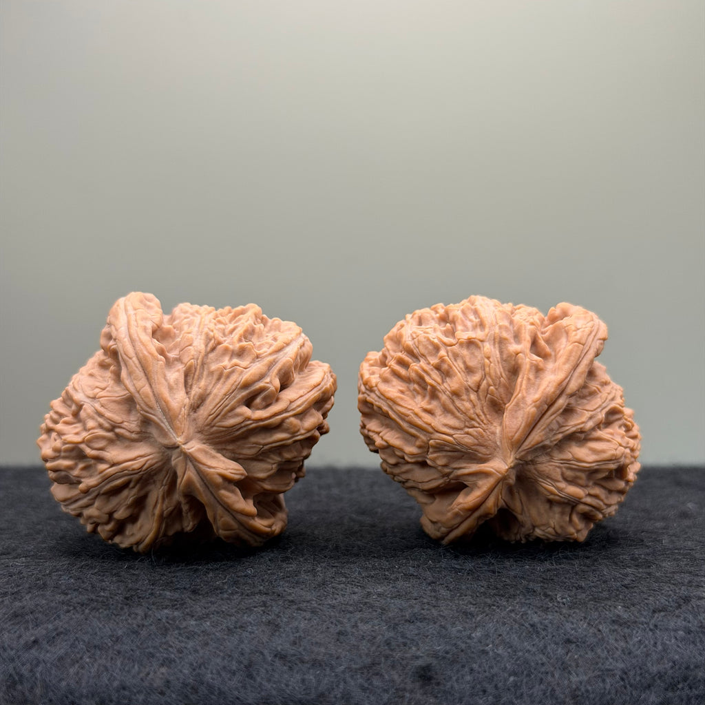 White Lion Wenwan Walnut · 38mm · Natural · Entry Ritual