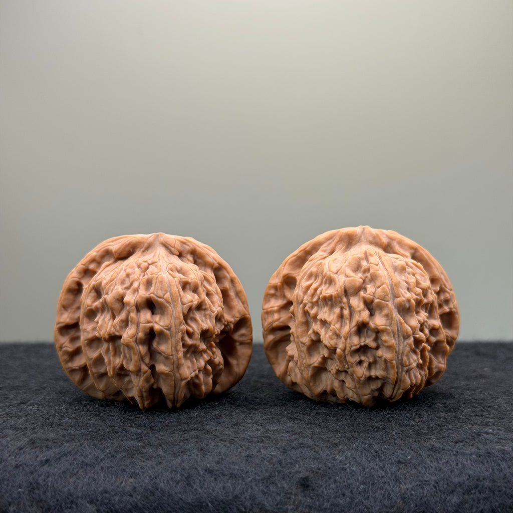 White Lion Wenwan Walnut · 40mm · Natural · Select Ritual