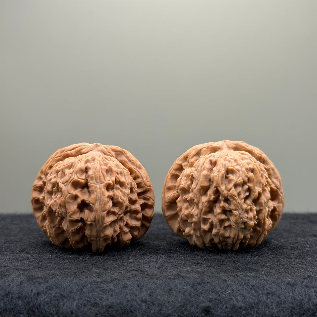 White Lion Wenwan Walnut· 40mm · Natural · Select Ritual