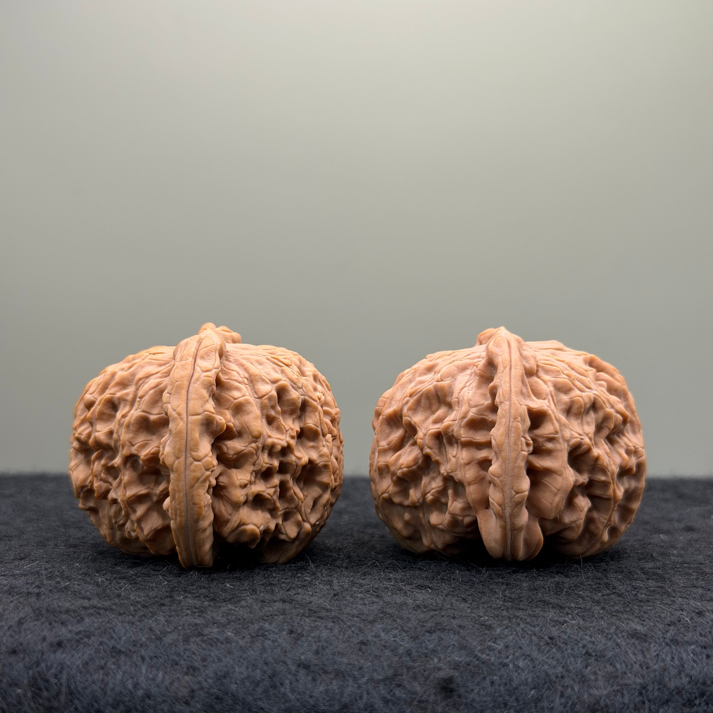 White Lion Wenwan Walnut