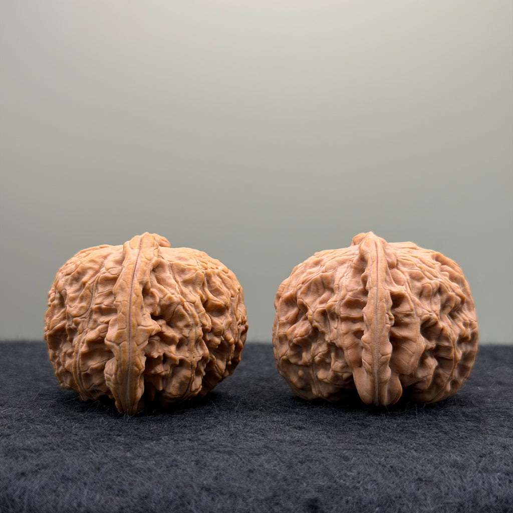 White Lion Wenwan Walnut· 38mm · Natural · Select Ritual
