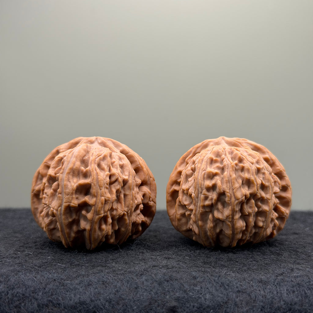 White Lion Wenwan Walnut · 39mm · Natural · Entry Ritual