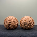 White Lion Wenwan Walnut · 39mm · Natural · Entry Ritual
