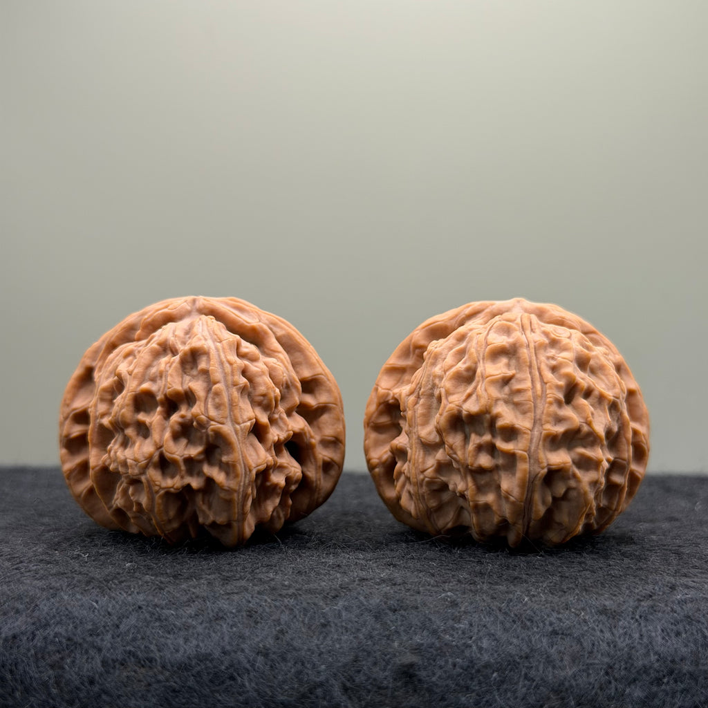 White Lion Wenwan Walnut · 39mm · Natural · Entry Ritual