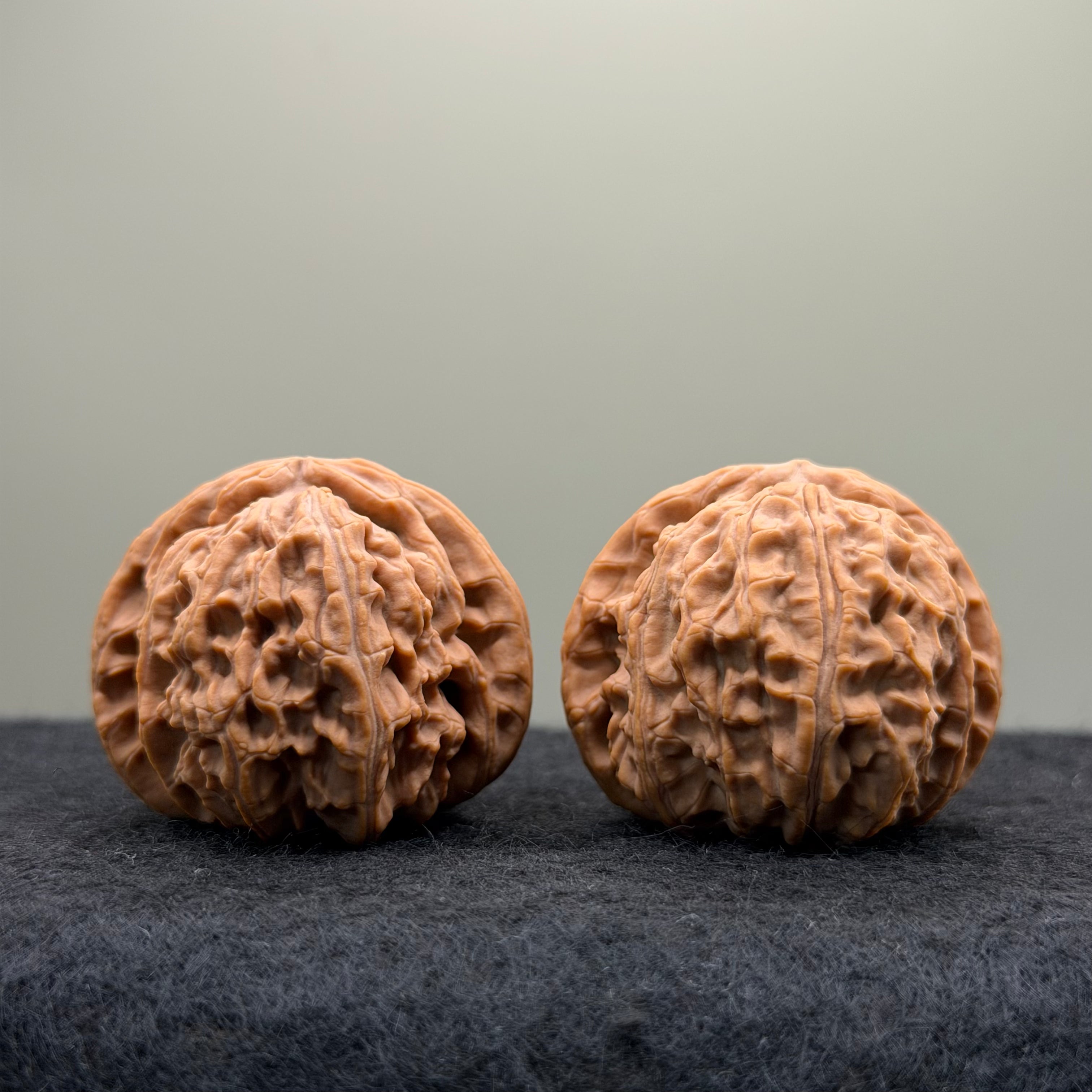 White Lion Wenwan Walnut · 39mm · Natural · Entry Ritual