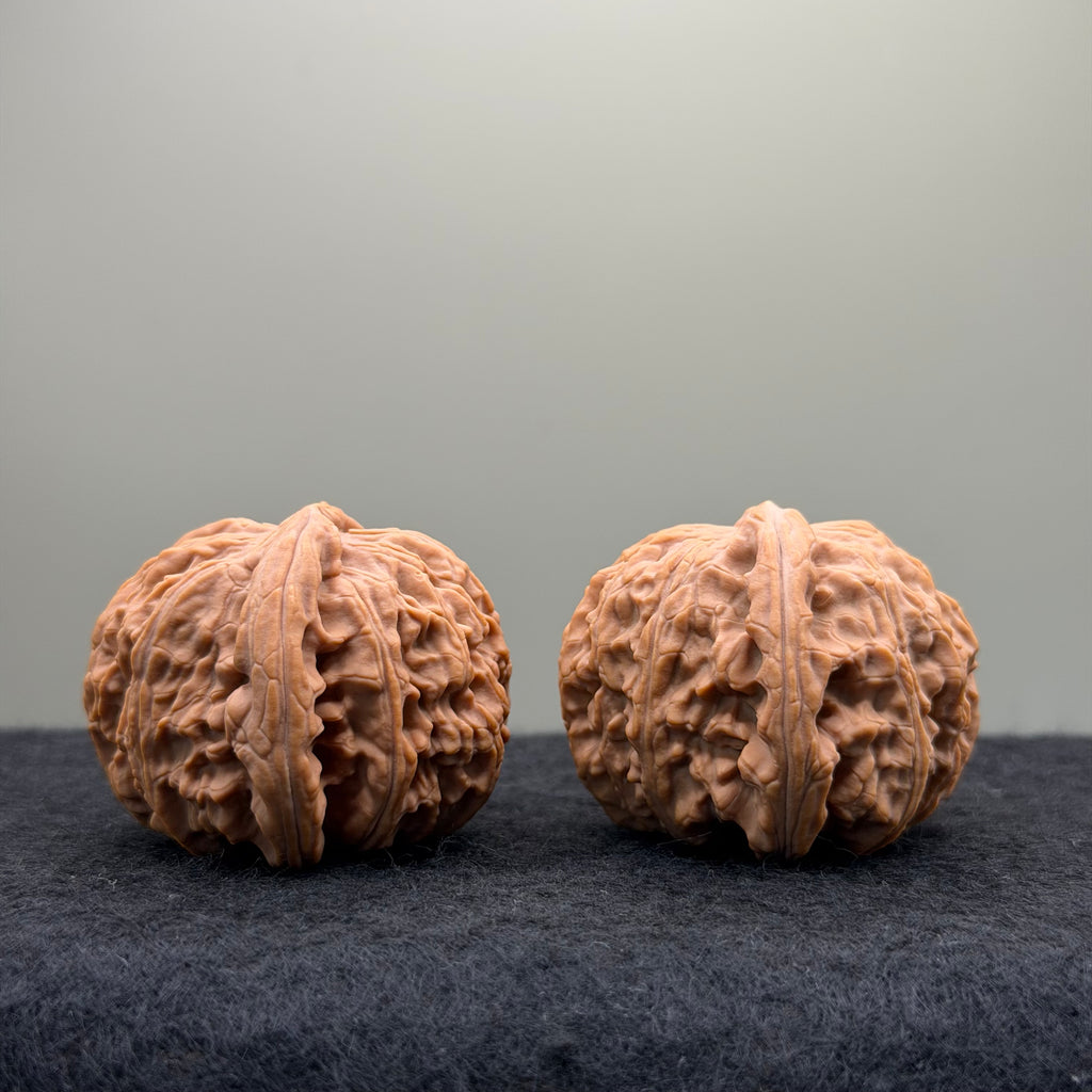 White Lion Wenwan Walnut · 39mm · Natural · Entry Ritual