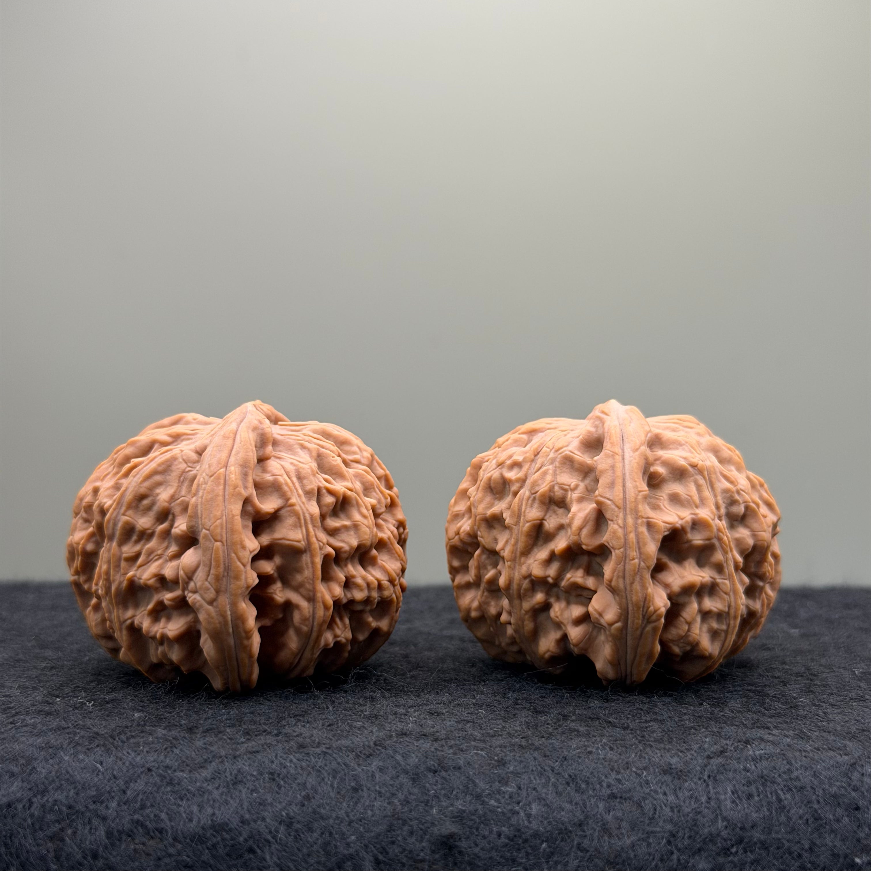 White Lion Wenwan Walnut · 39mm · Natural · Entry Ritual