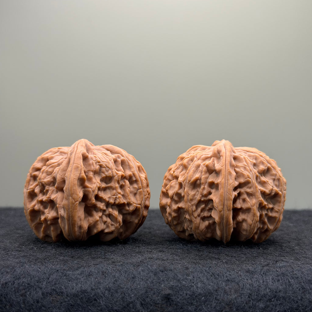 White Lion Wenwan Walnut · 39mm · Natural · Entry Ritual