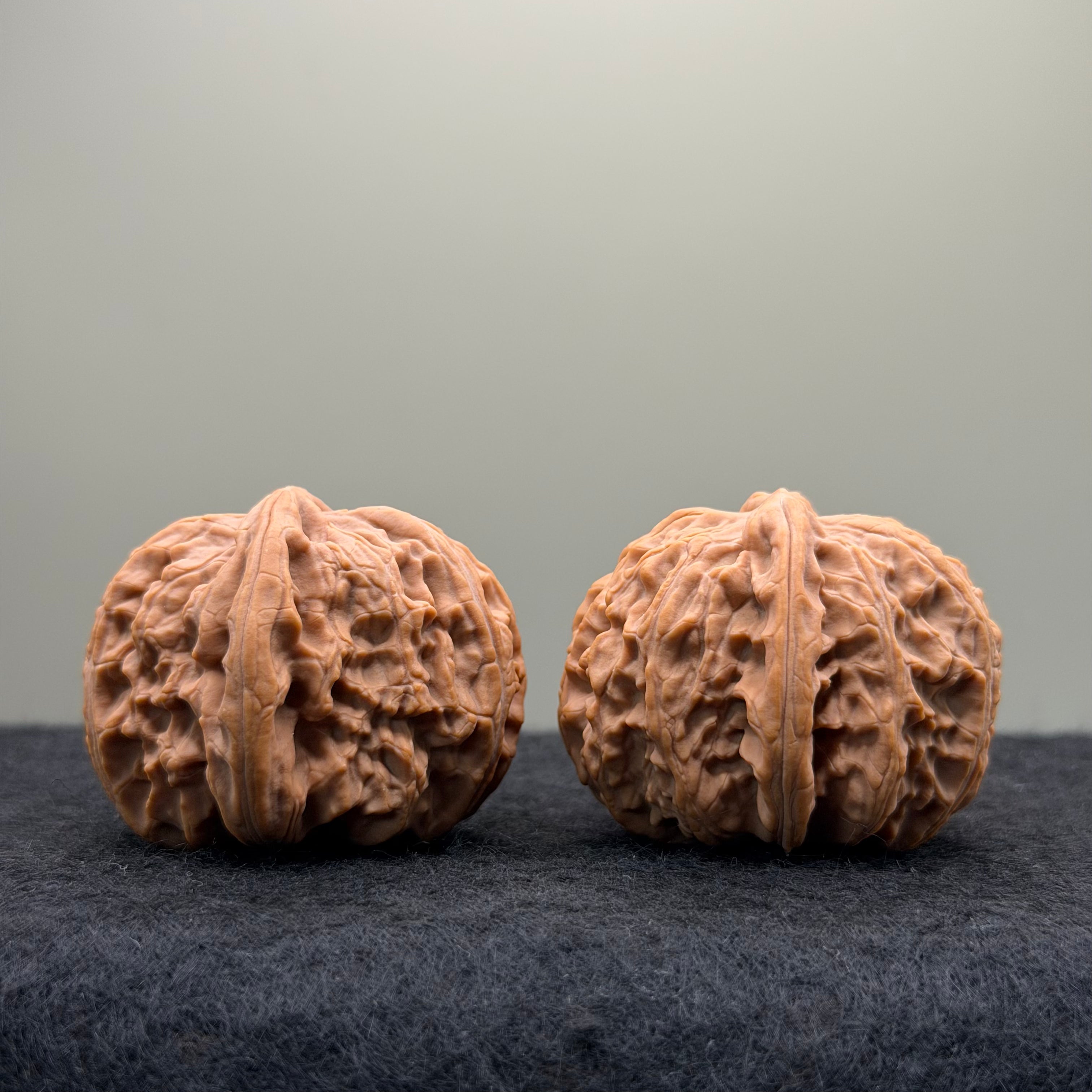 White Lion Wenwan Walnut · 39mm · Natural · Entry Ritual