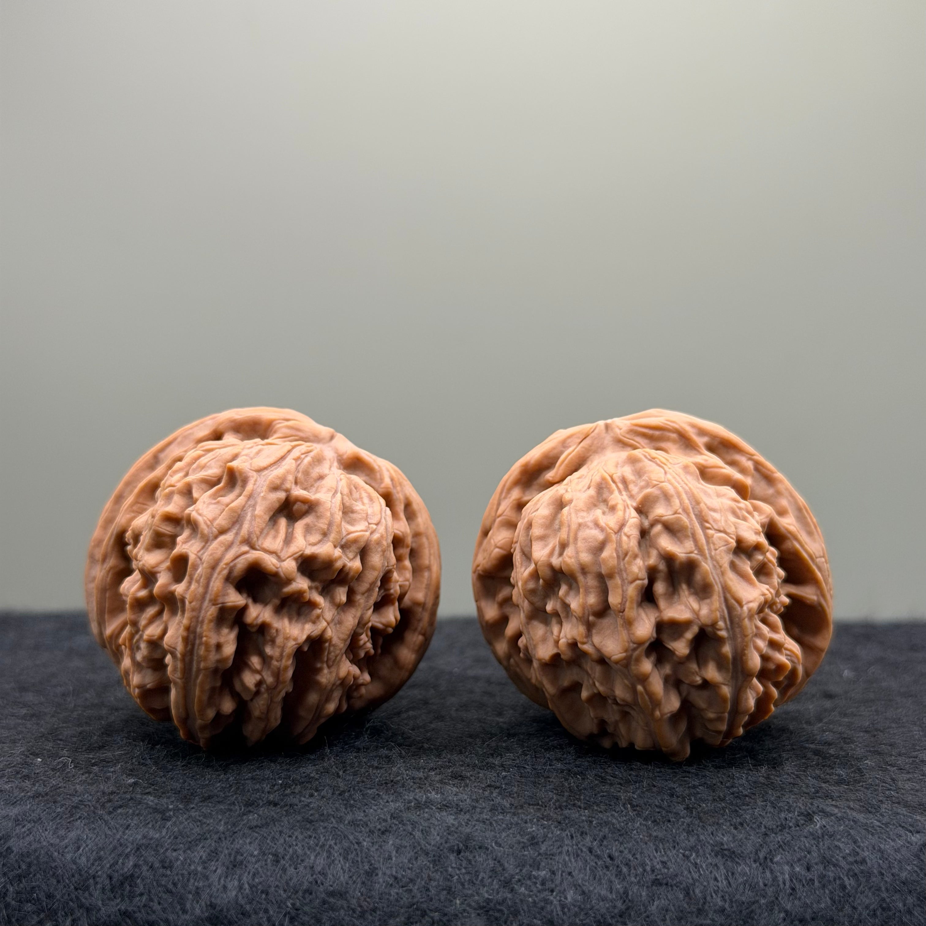 White Lion Wenwan Walnut