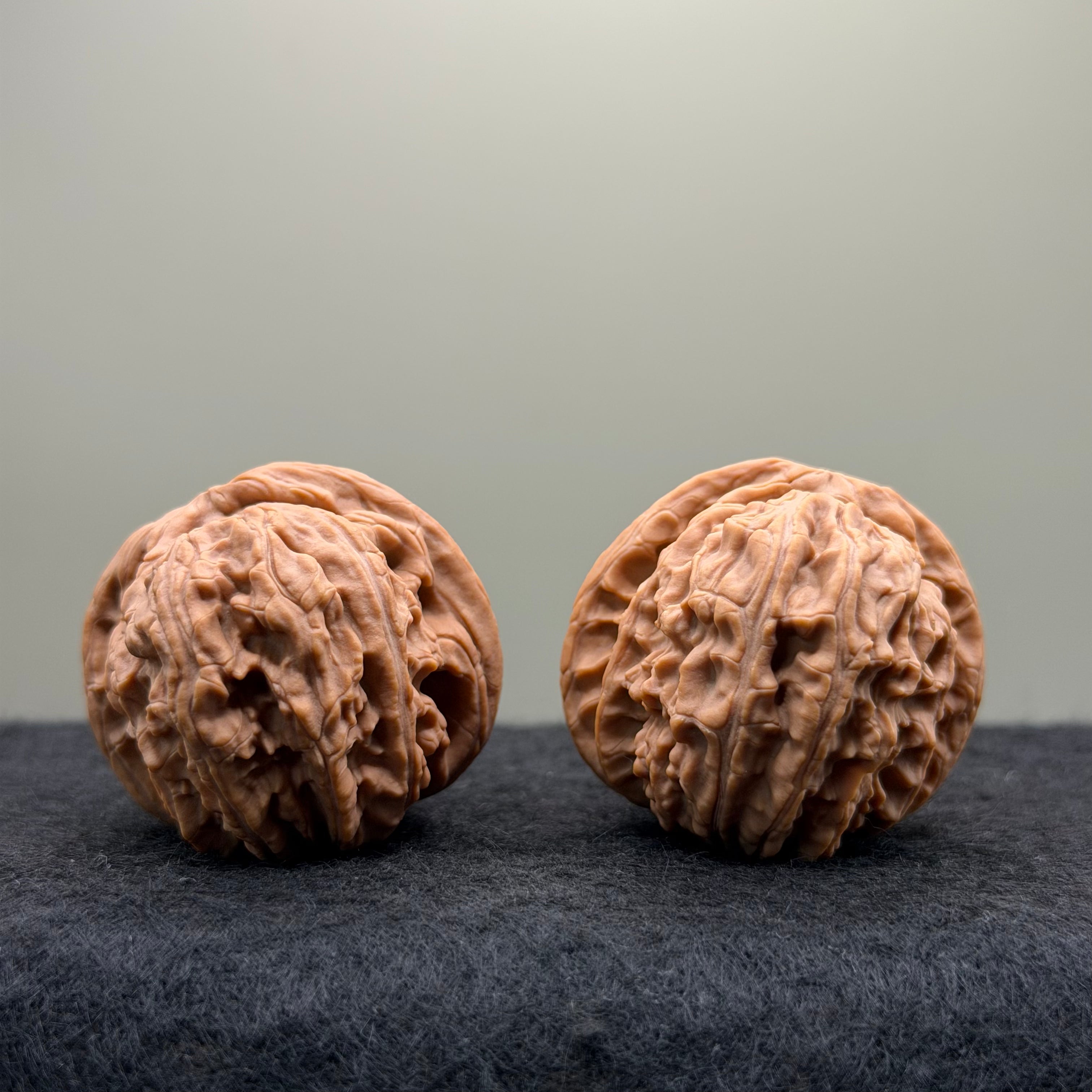 White Lion Wenwan Walnut