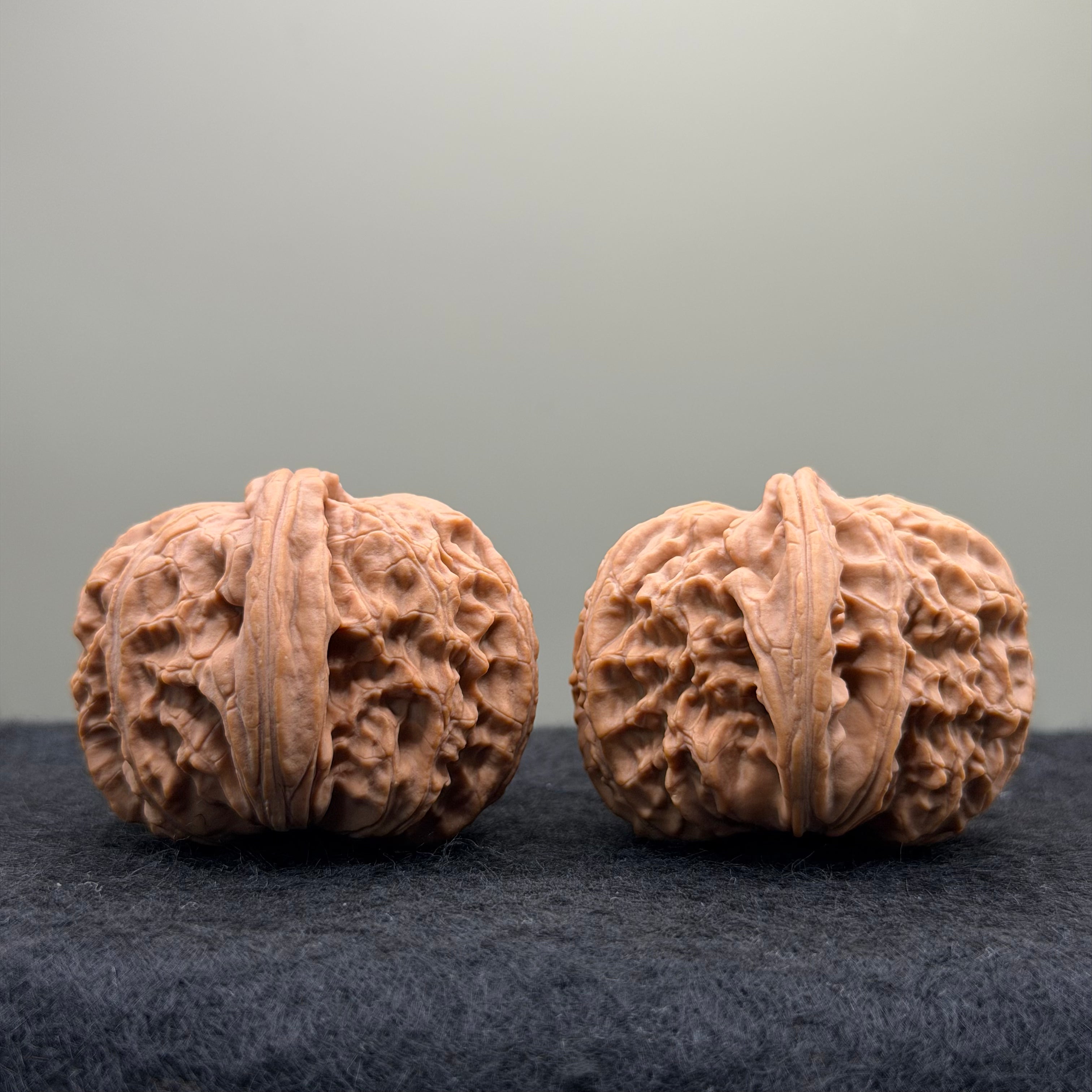 White Lion Wenwan Walnut
