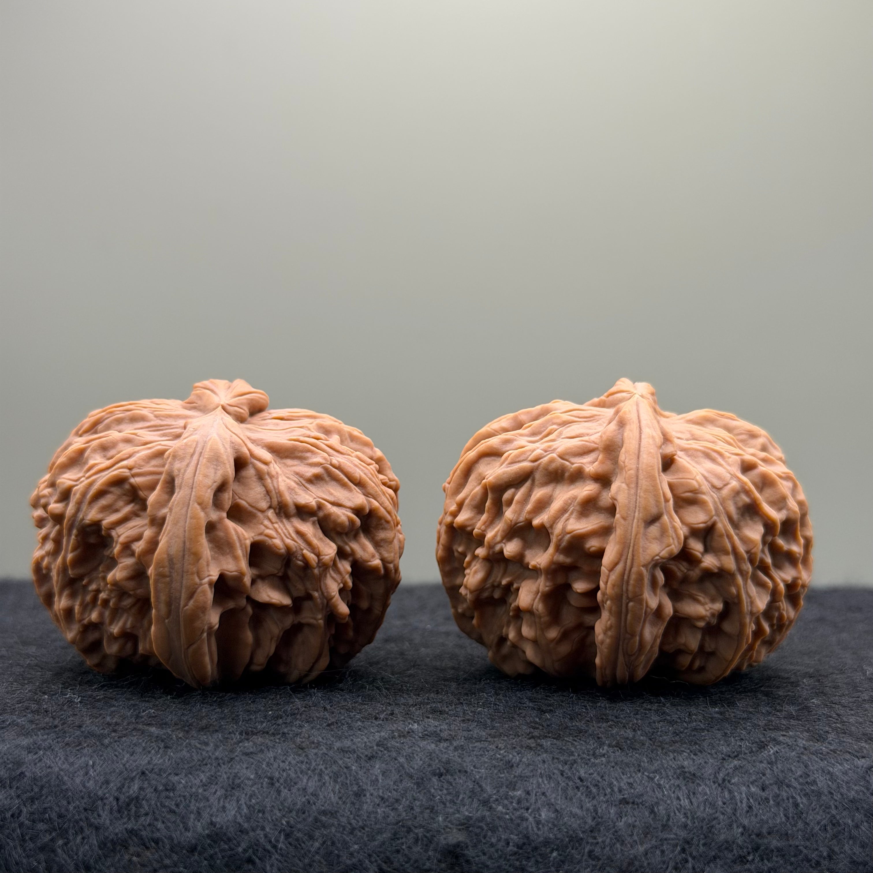 White Lion Wenwan Walnut