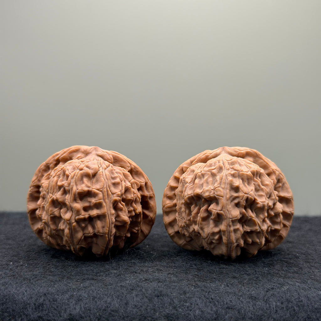 White Lion Wenwan Walnut · 39mm · Natural · Entry Ritual