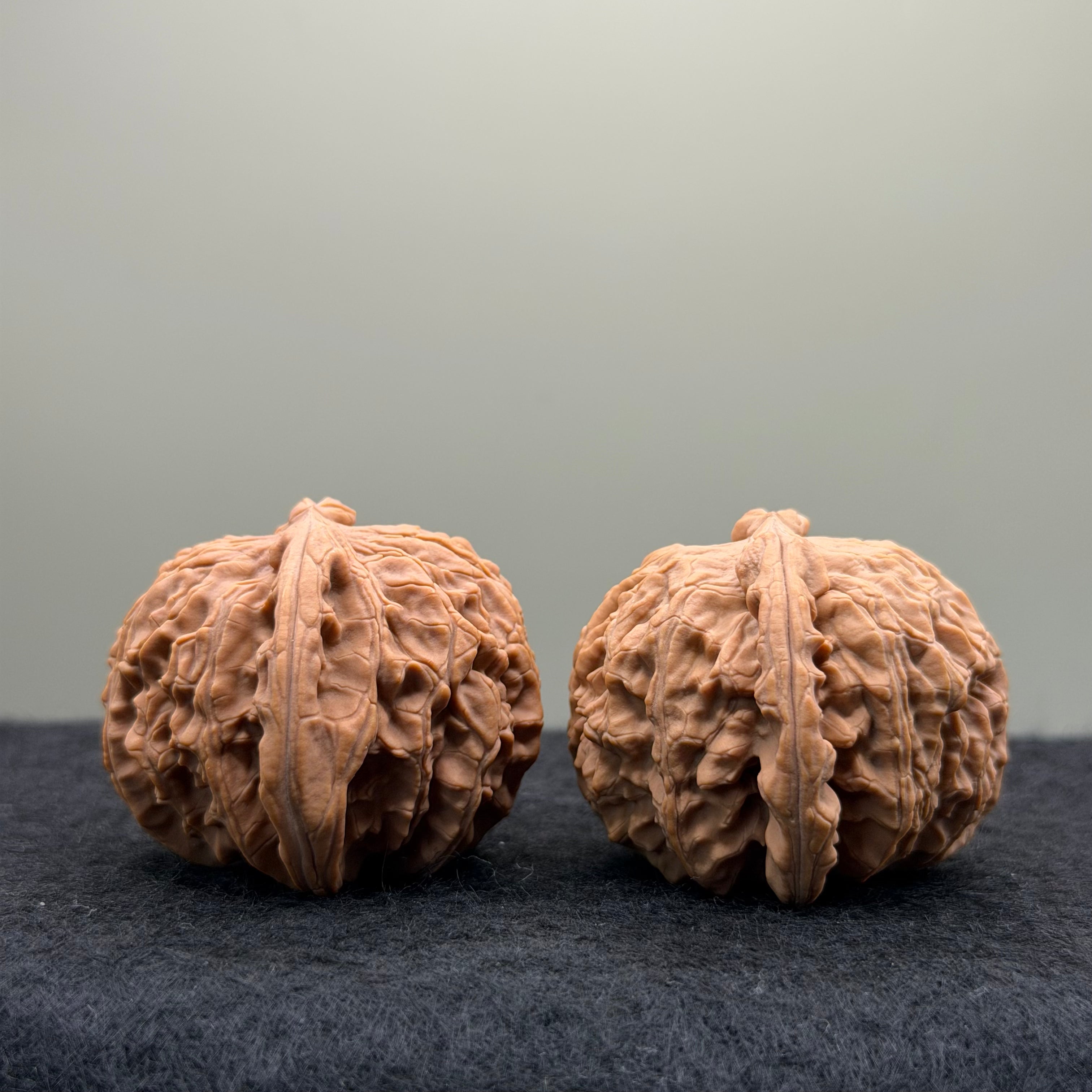 White Lion Wenwan Walnut