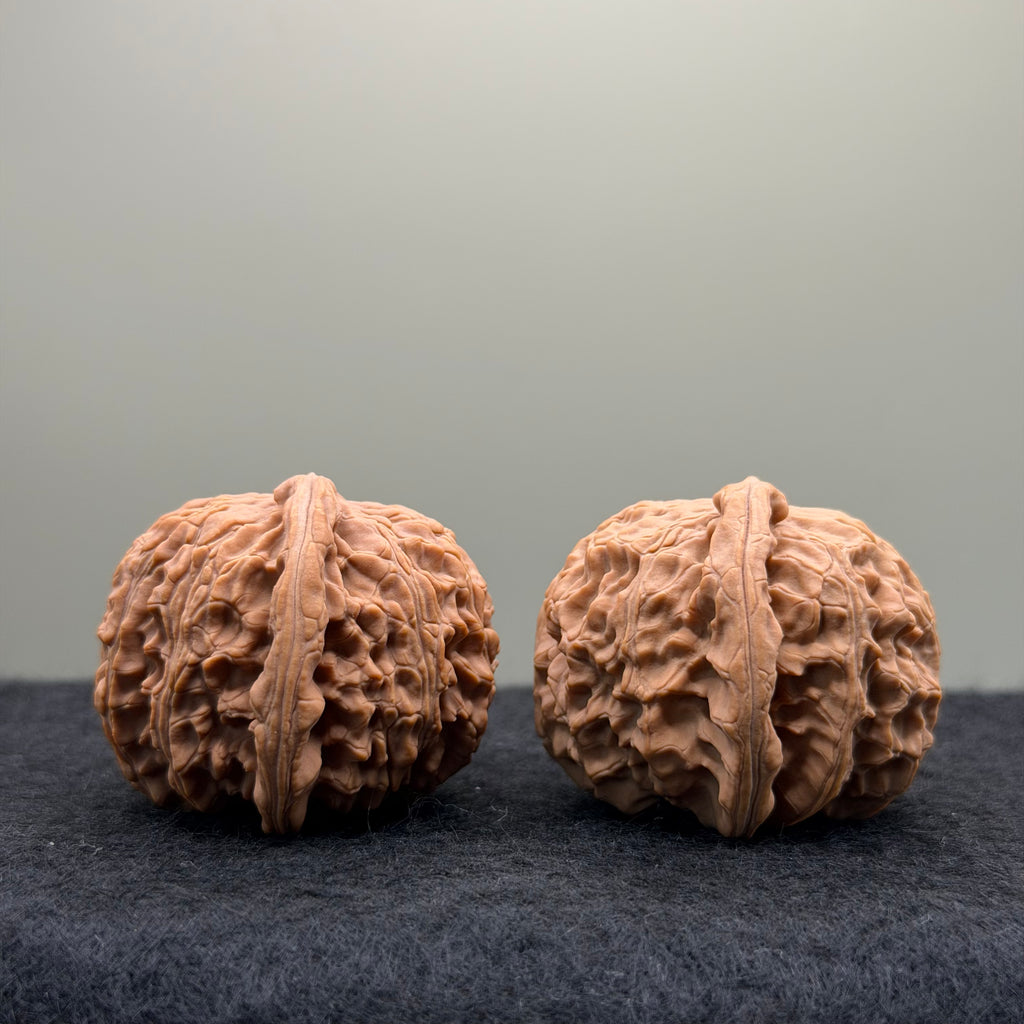 White Lion Wenwan Walnut · 39mm · Natural · Entry Ritual