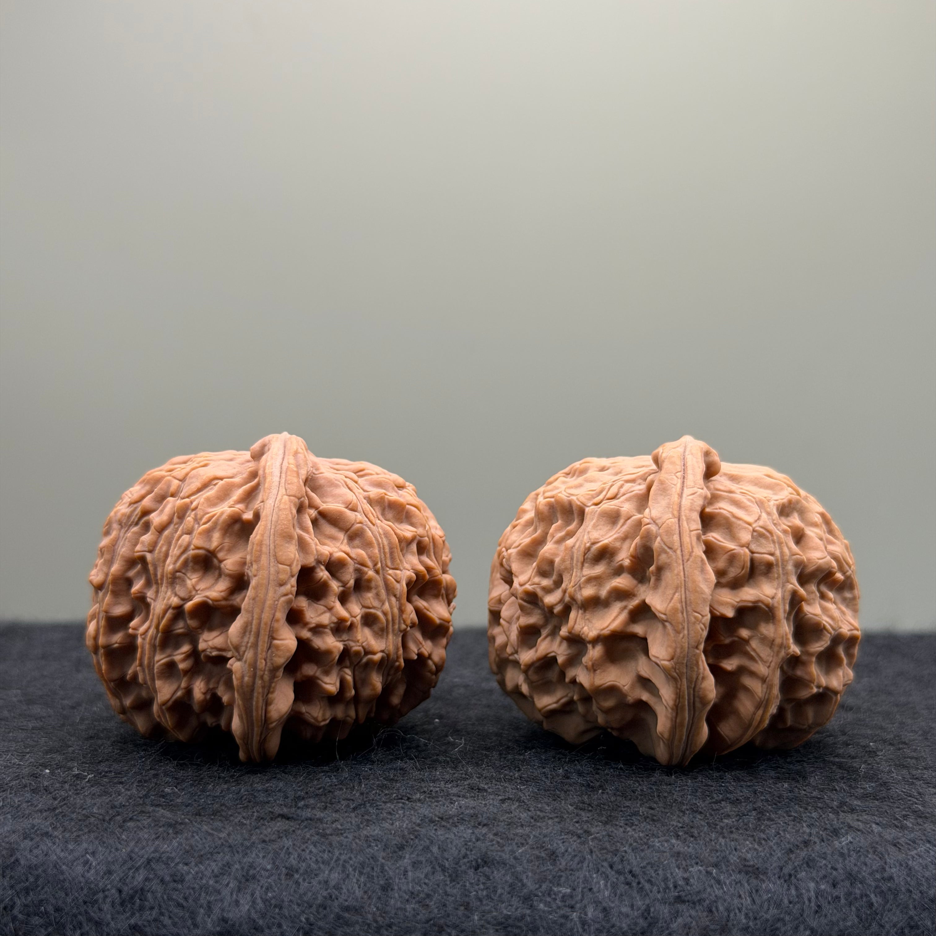 White Lion Wenwan Walnut