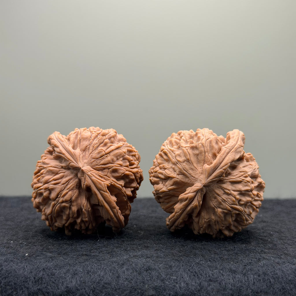 White Lion Wenwan Walnut · 39mm · Natural · Entry Ritual