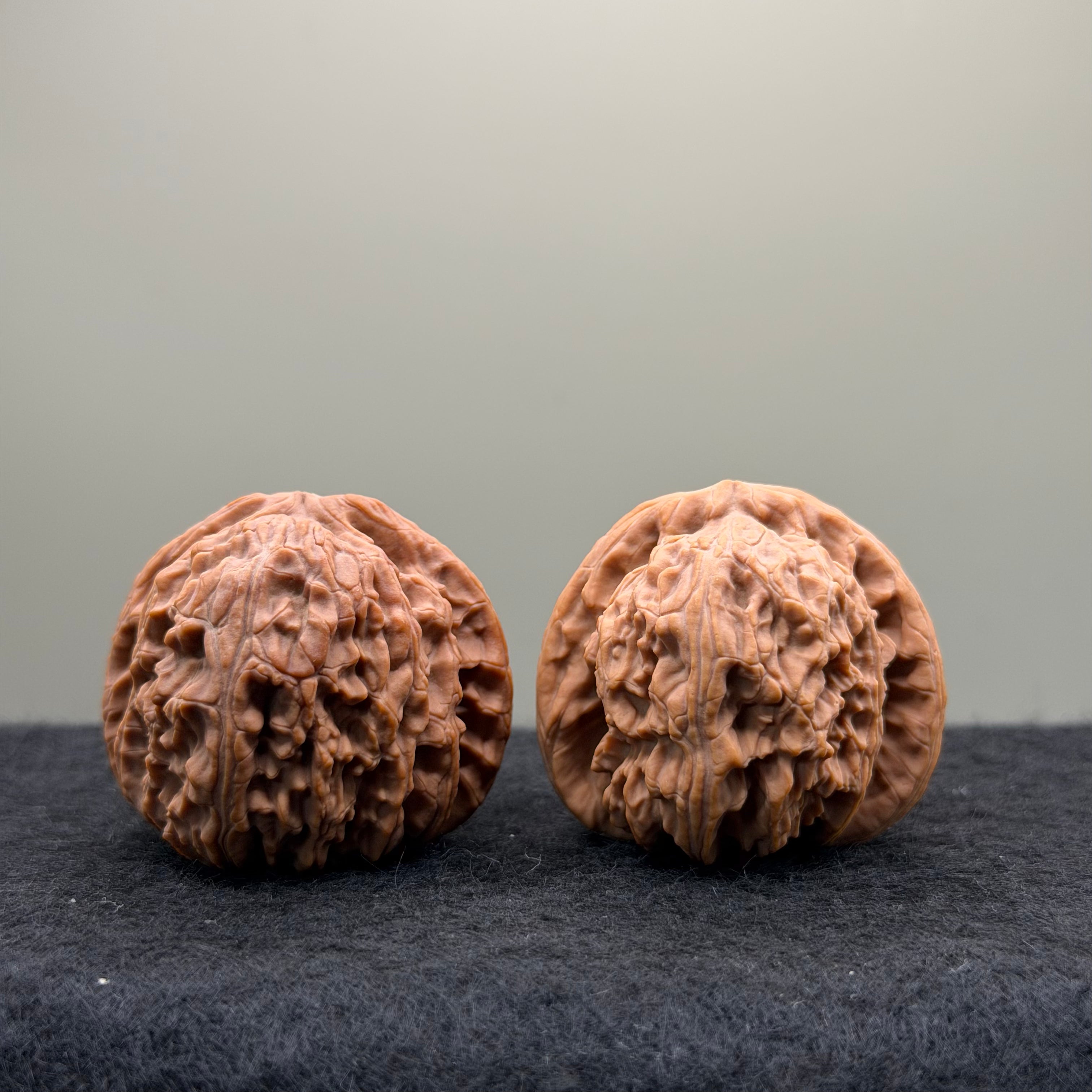White Lion Wenwan Walnut