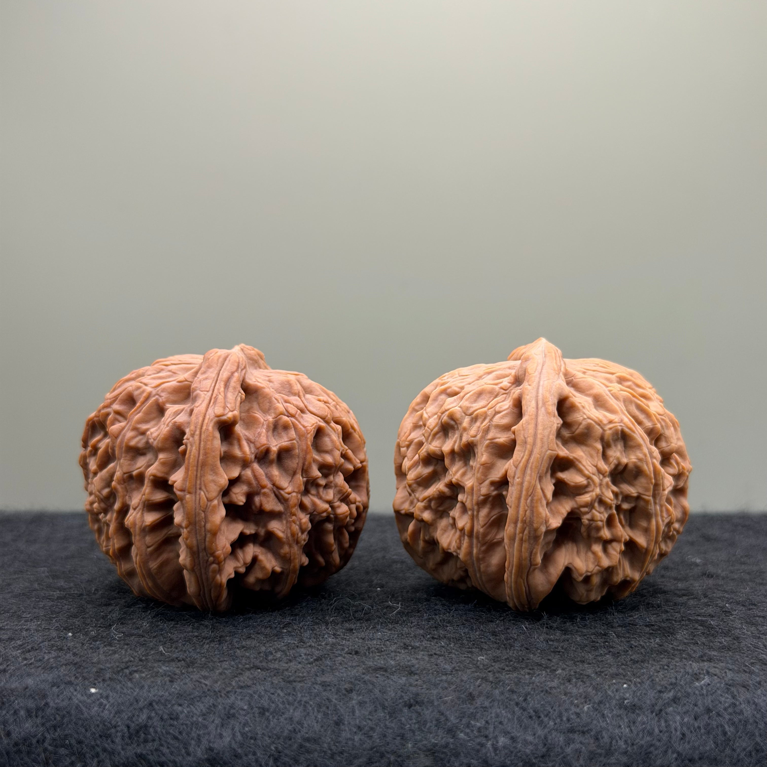 White Lion Wenwan Walnut