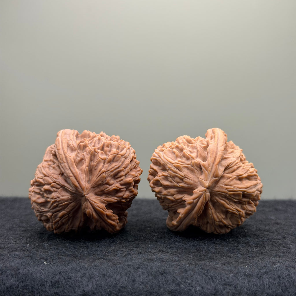 White Lion Wenwan Walnut · 37mm · Natural · Entry Ritual