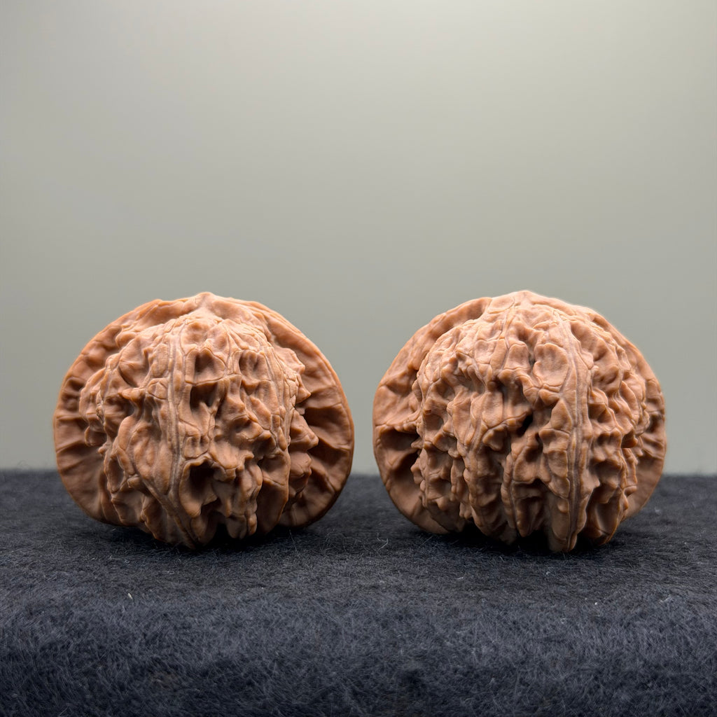 White Lion Wenwan Walnut· 43mm · Natural · Select Ritual