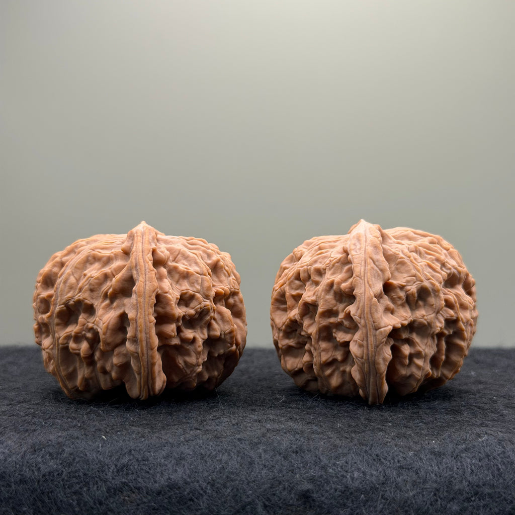 White Lion Wenwan Walnut· 43mm · Natural · Select Ritual