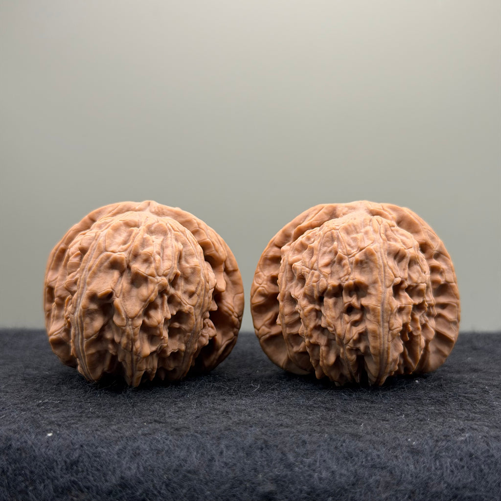White Lion Wenwan Walnut · 40mm · Natural · Select Ritual