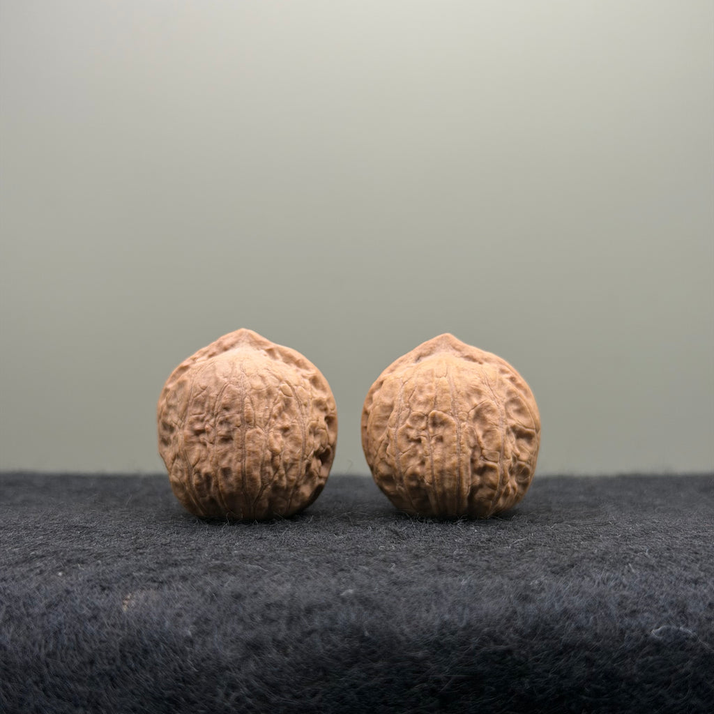 Mini Catalpa Wenwan Walnut