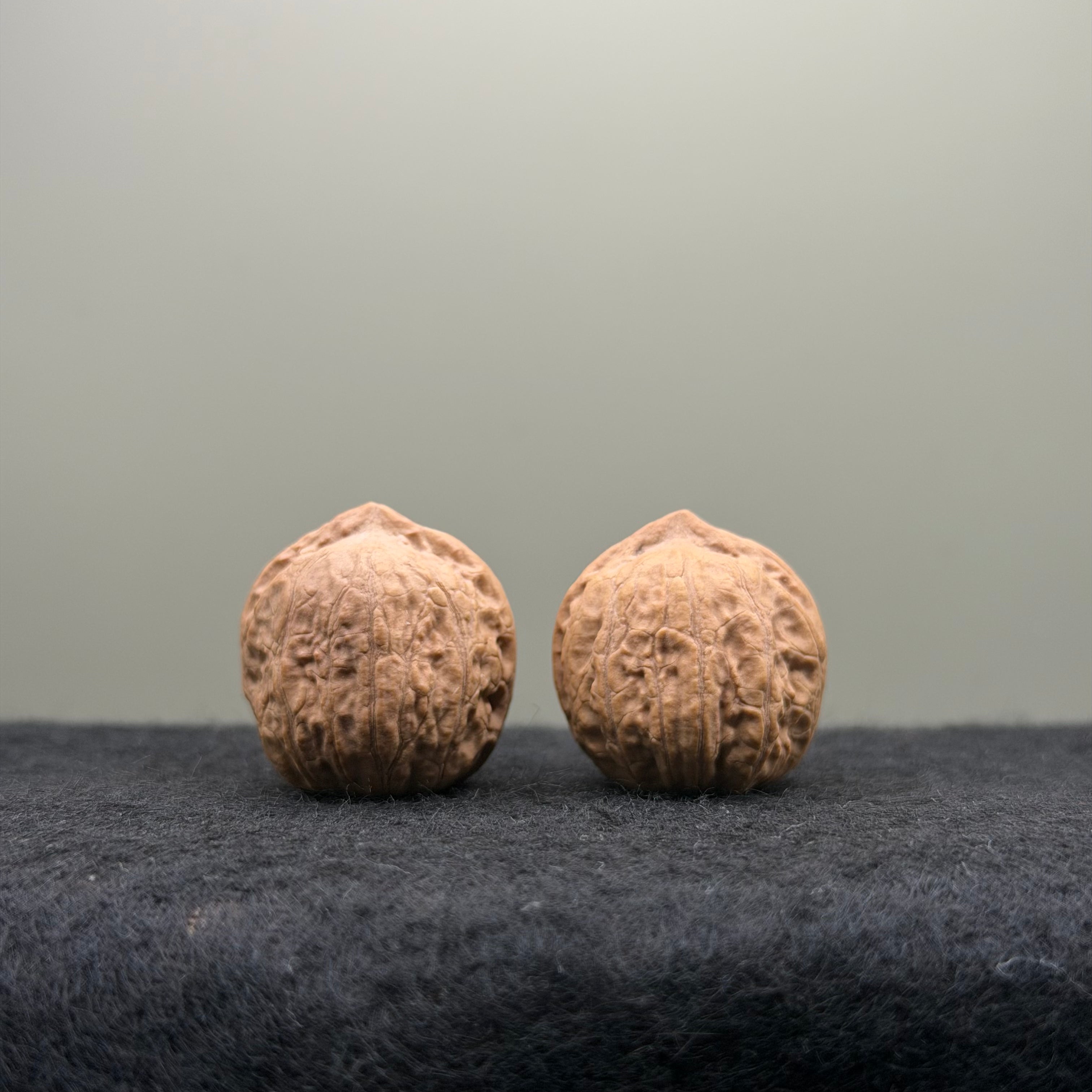 Mini Catalpa Wenwan Walnut