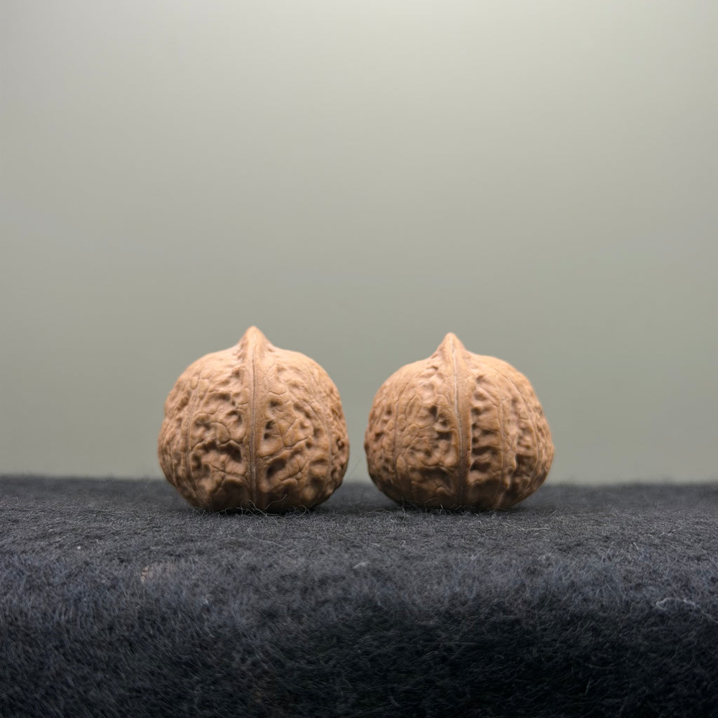 Mini Catalpa Wenwan Walnut