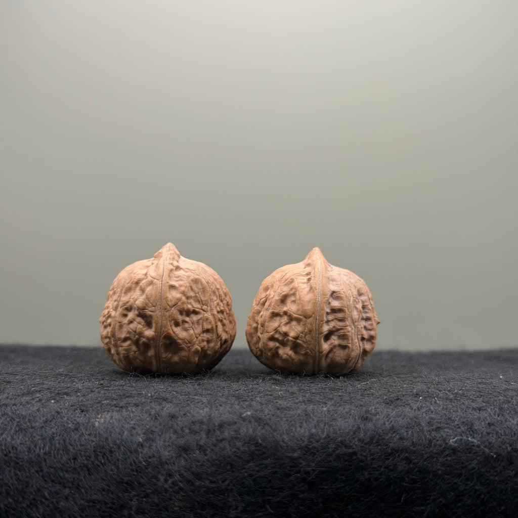 Mini Catalpa Wenwan Walnut