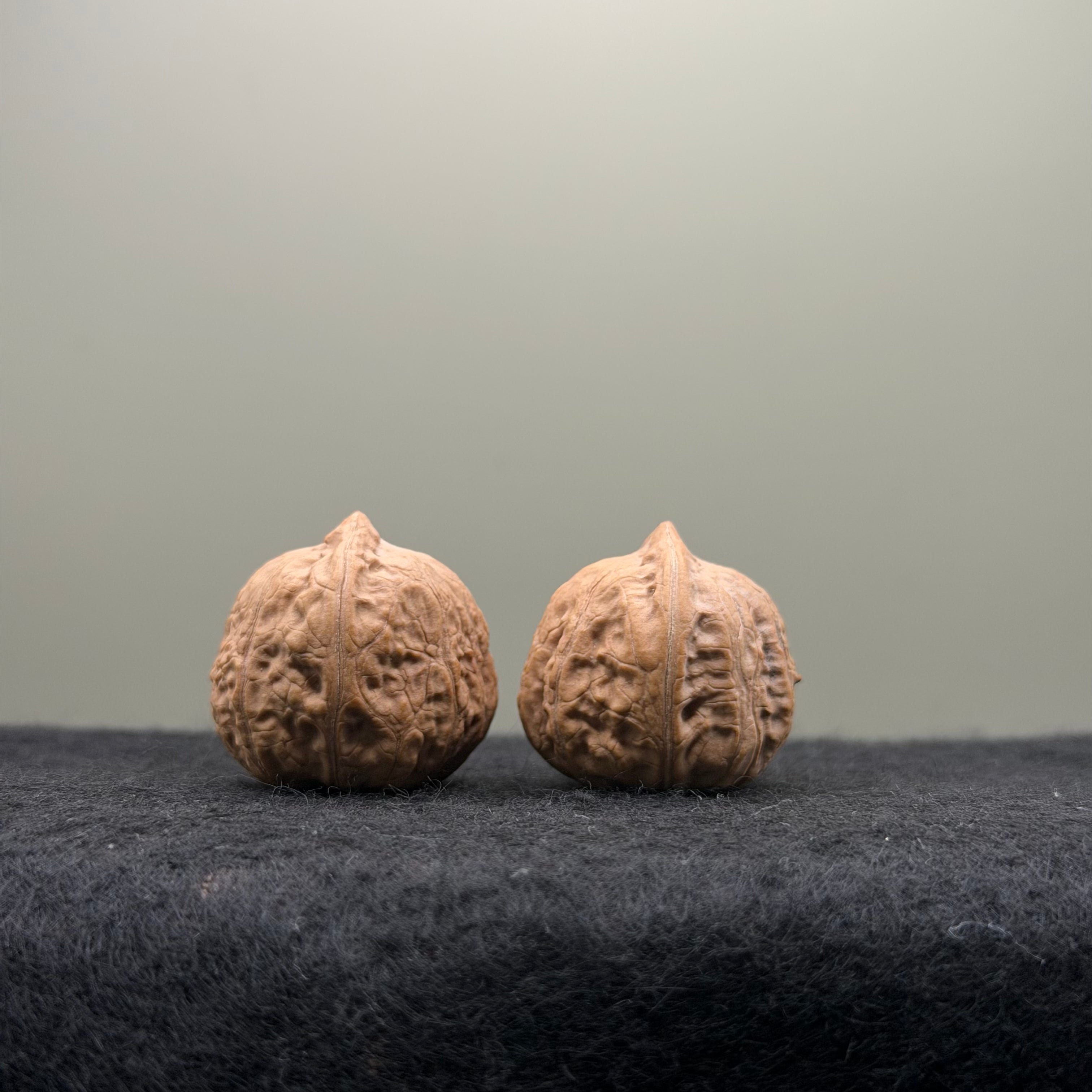 Mini Catalpa Wenwan Walnut