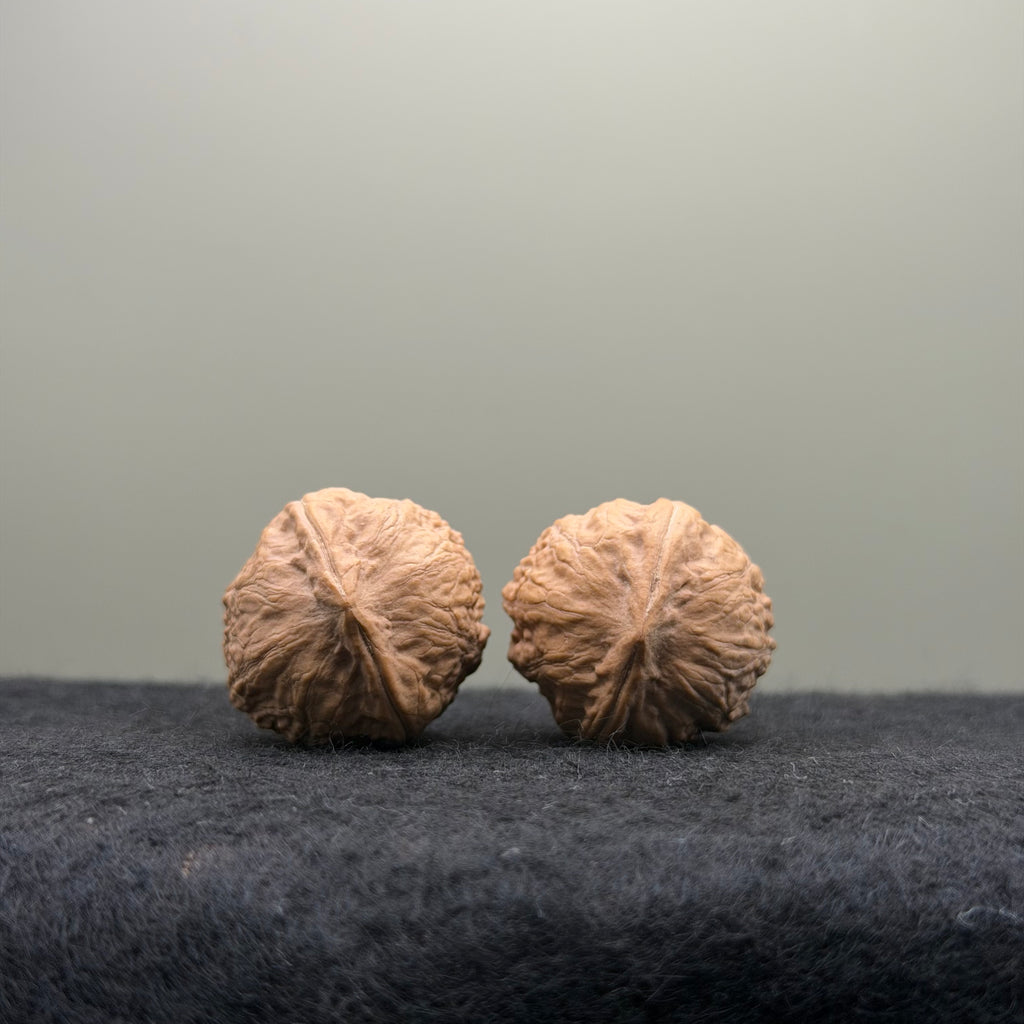 Mini Catalpa Wenwan Walnut