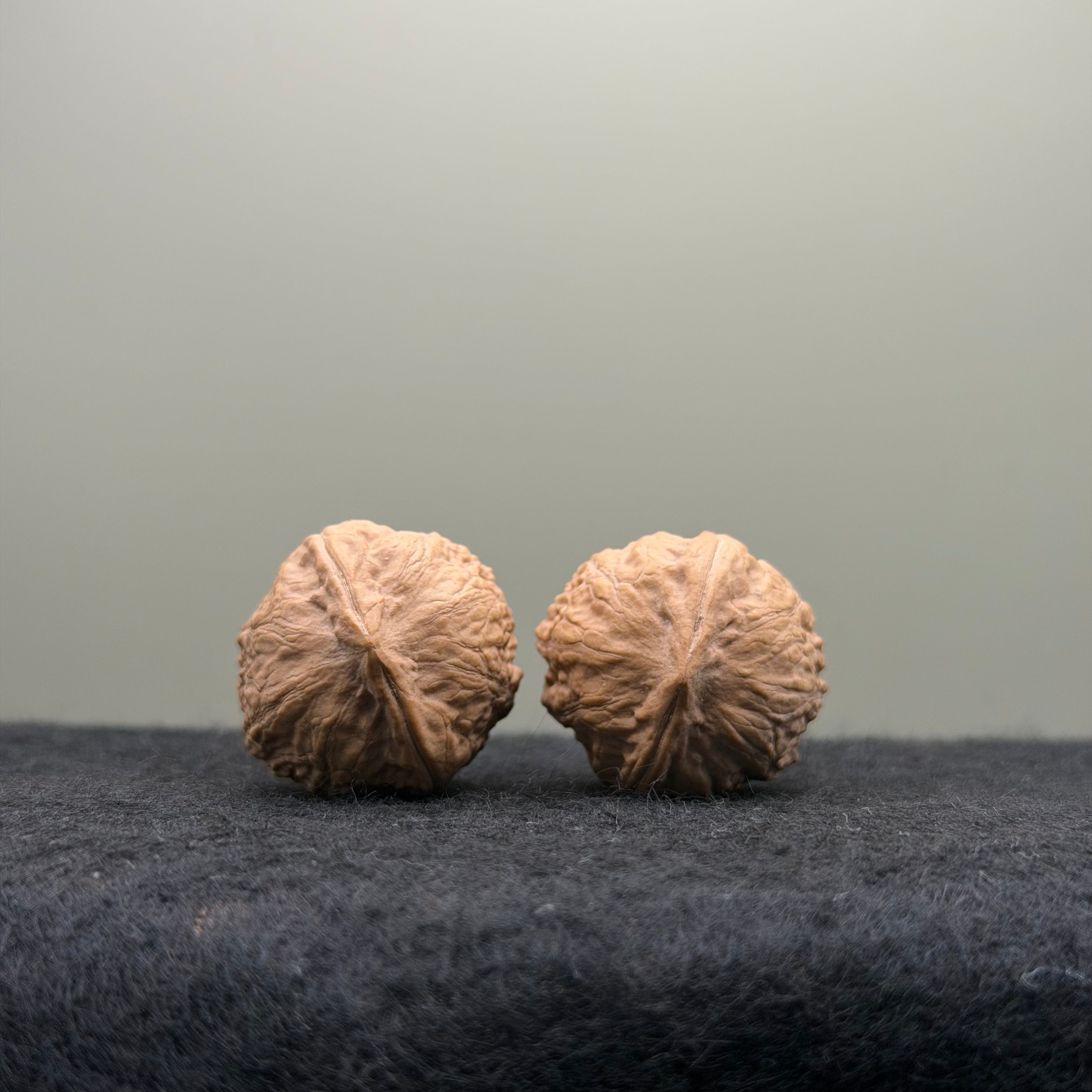 Mini Catalpa Wenwan Walnut
