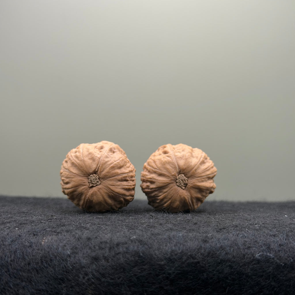 Mini Catalpa Wenwan Walnut
