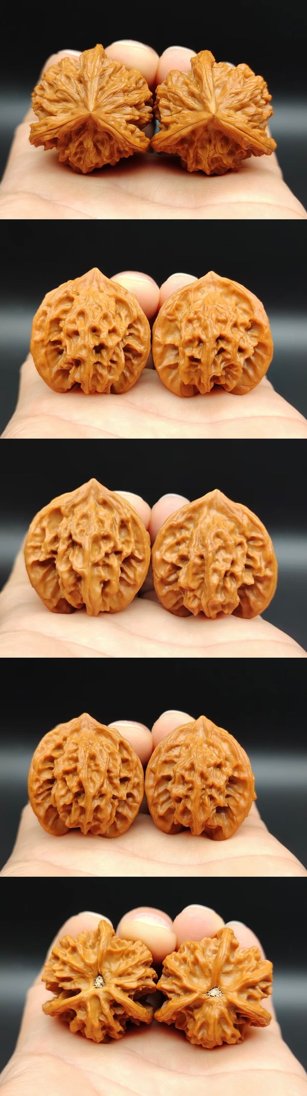 Three-Ridges Wenwan Walnut