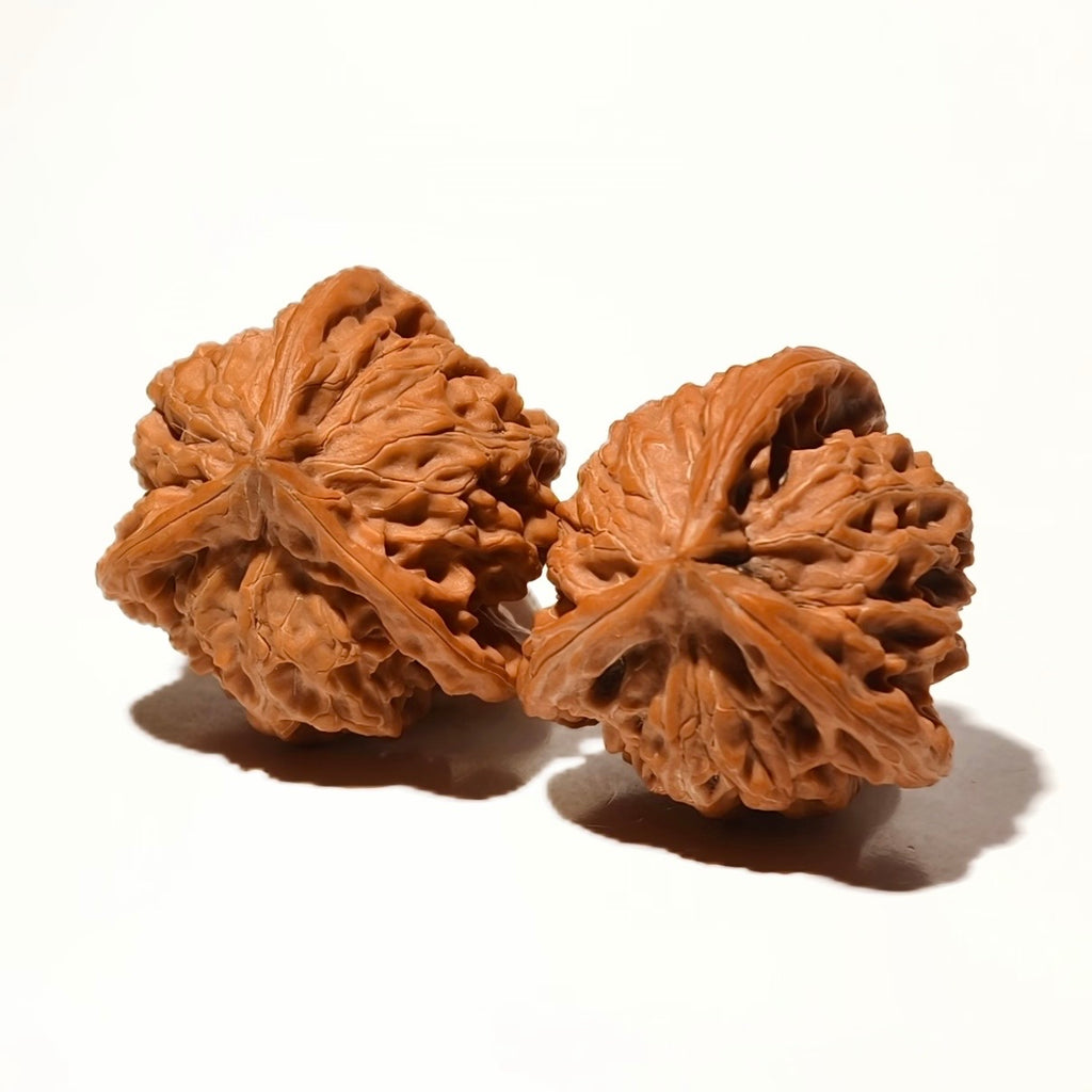Three-Ridges Wenwan Walnut