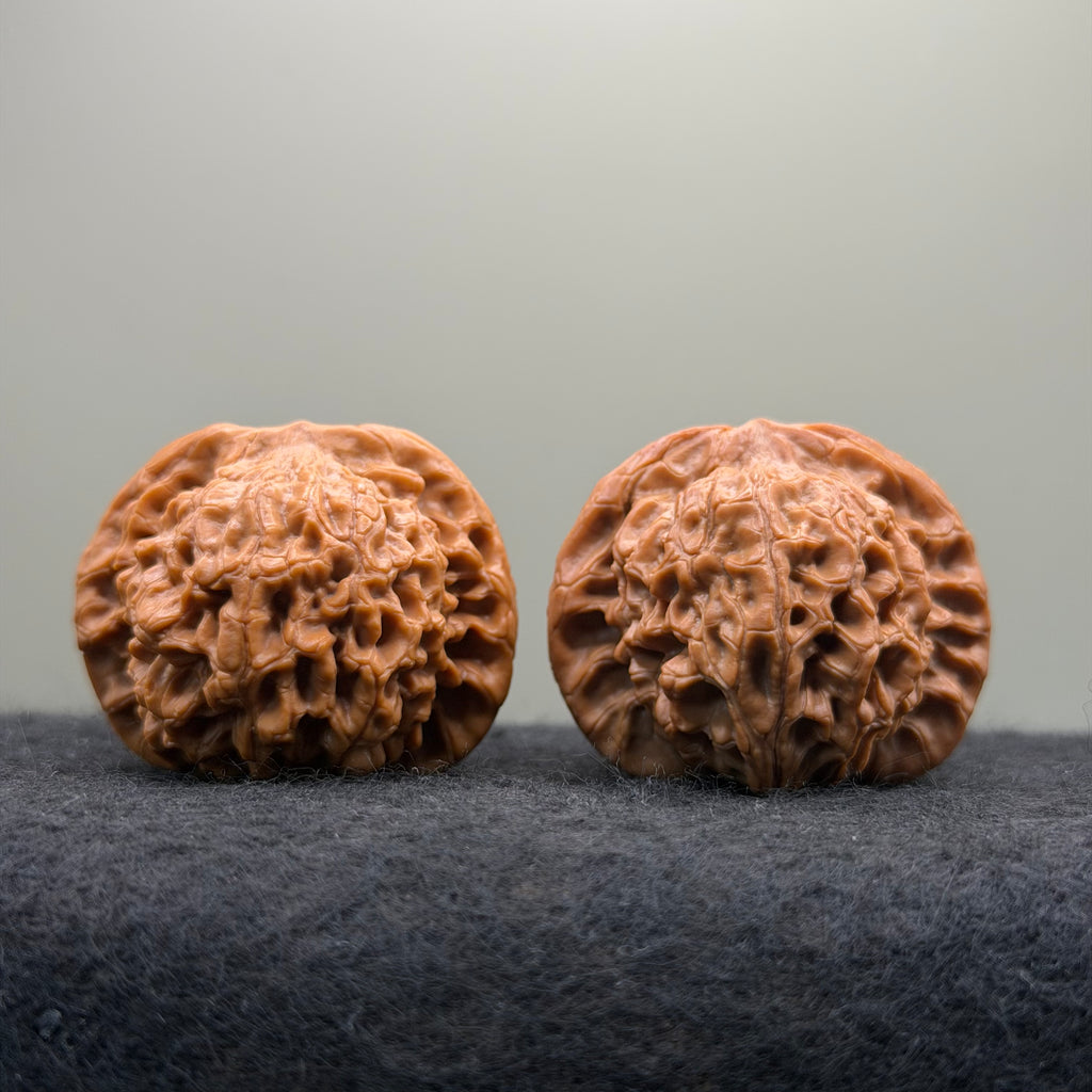 'Walnut King' Wenwan Walnut · 40mm · Collector Ritual