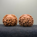 'Walnut King' Wenwan Walnut · 40mm · Collector Ritual