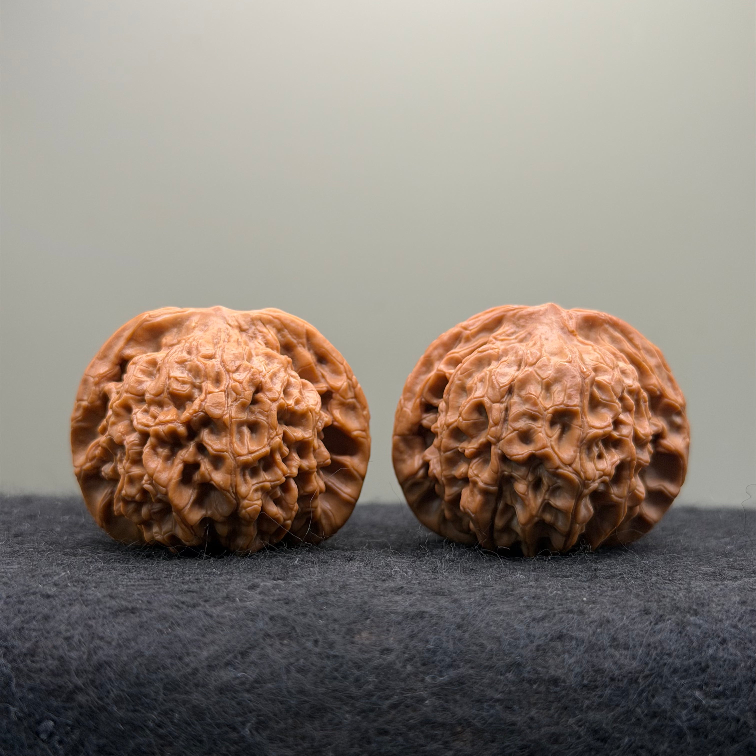 'Walnut King' Wenwan Walnut · 40mm · Collector Ritual