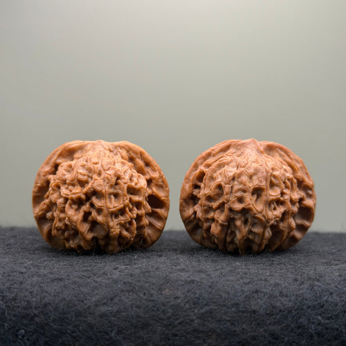 'Walnut King' Wenwan Walnut · 40mm · Collector Ritual