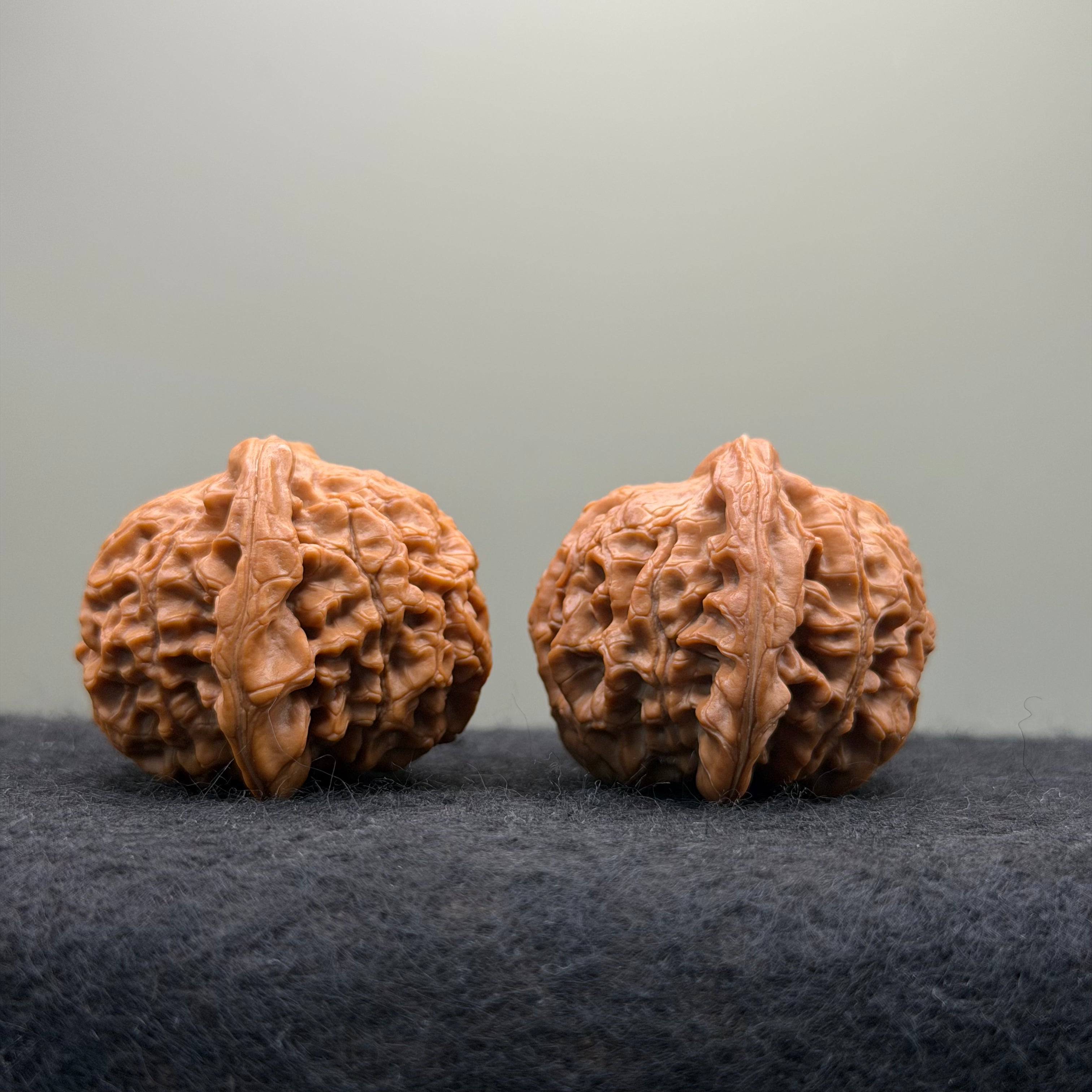 'Walnut King' Wenwan Walnut · 40mm · Collector Ritual